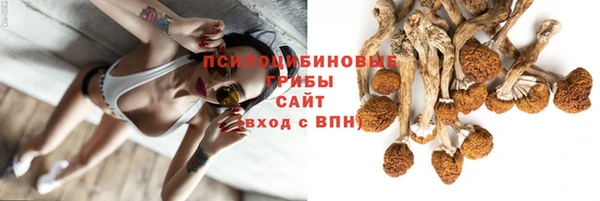 стаф Михайлов