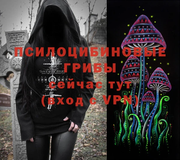 стаф Михайлов
