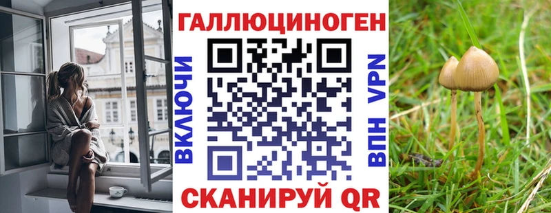 Галлюциногенные грибы мицелий  Купить  Ува 